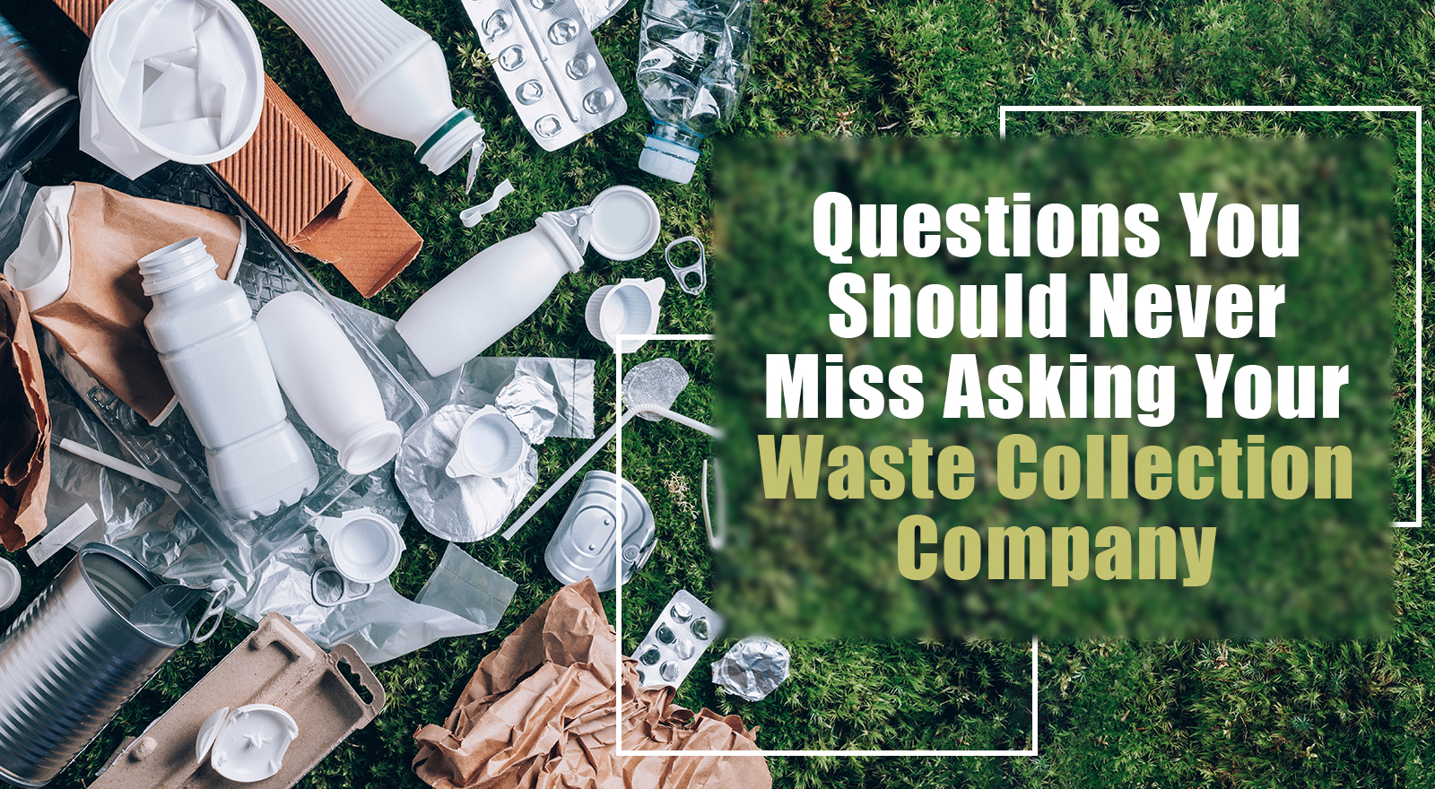 Questions You Should Never Miss Asking Your Waste Collection Company